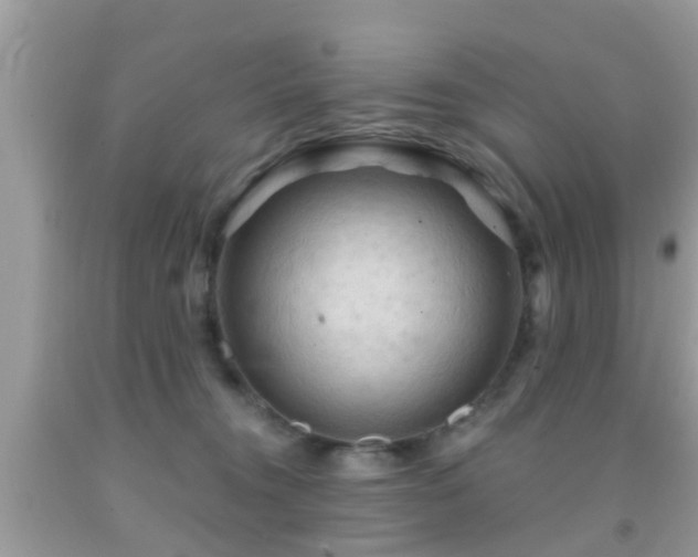 X0000092030372200709061619