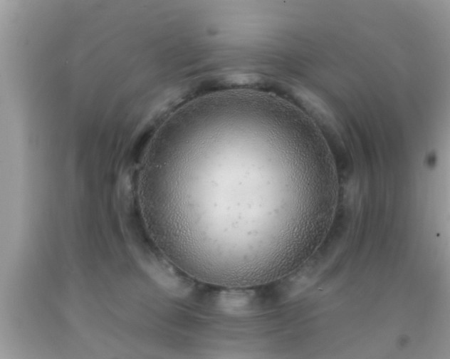X0000092030373200709061619