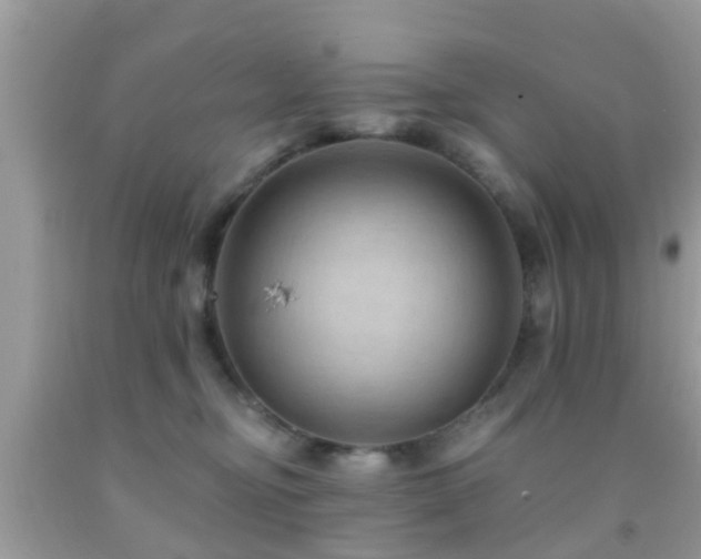 X0000092030374200709061619