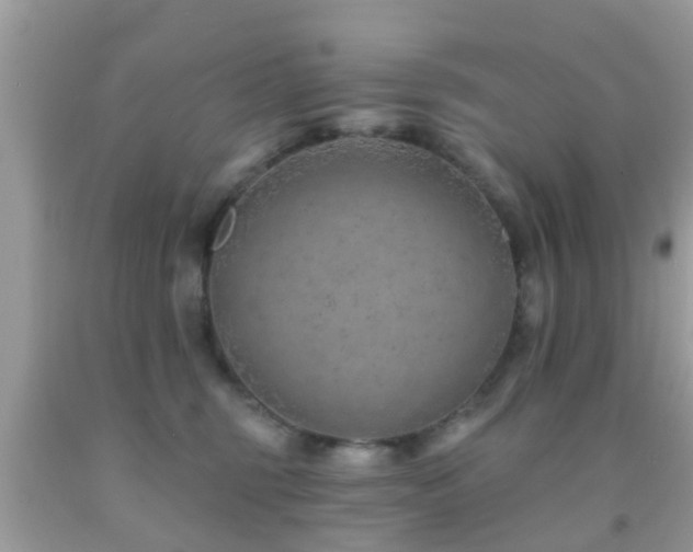 X0000092030375200709061619