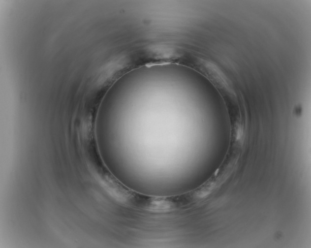 X0000092030376200709061619