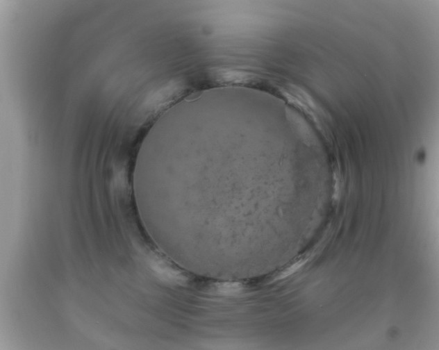 X0000092030377200709061619
