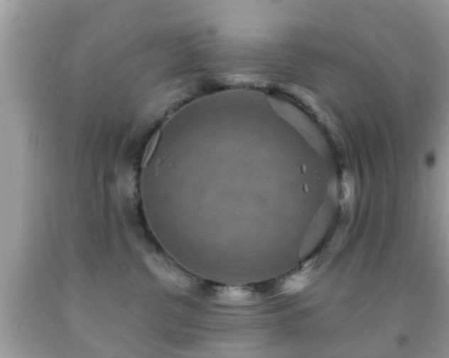 X0000092030380200709061619