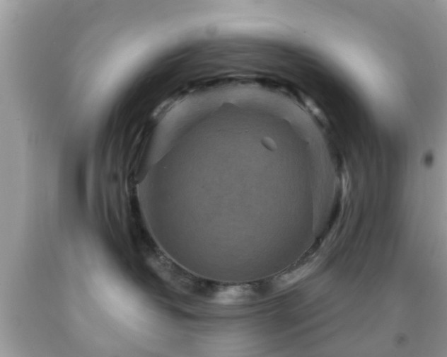 X0000092030382200709061619