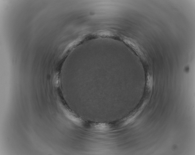 X0000092030383200709061619