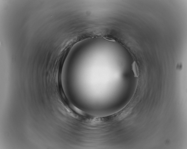X0000092030384200709061619
