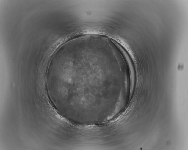 X0000092030385200709061619