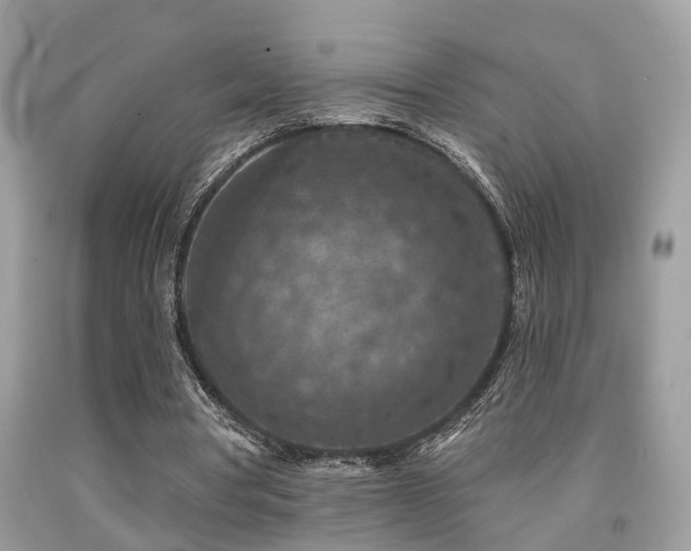 X0000092030386200709061619
