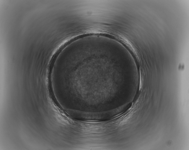 X0000092030387200709061619