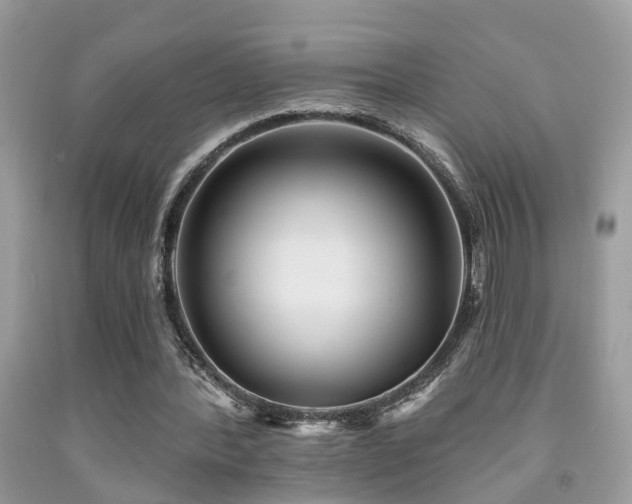 X0000092030388200709061619