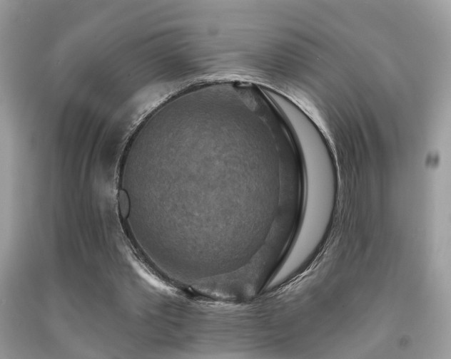 X0000092030389200709061619