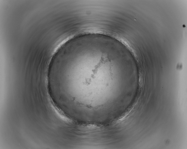 X0000092030390200709061619