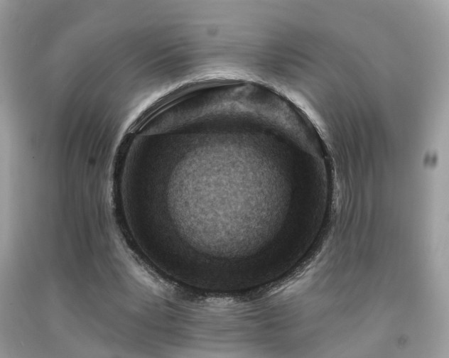 X0000092030391200709061619