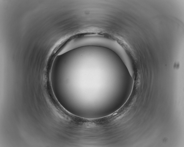 X0000092030392200709061619