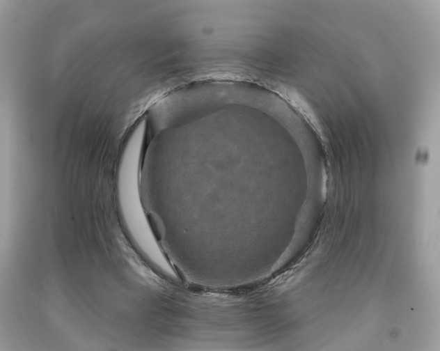 X0000092030393200709061619