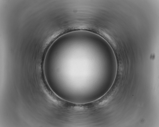 X0000092030394200709061619