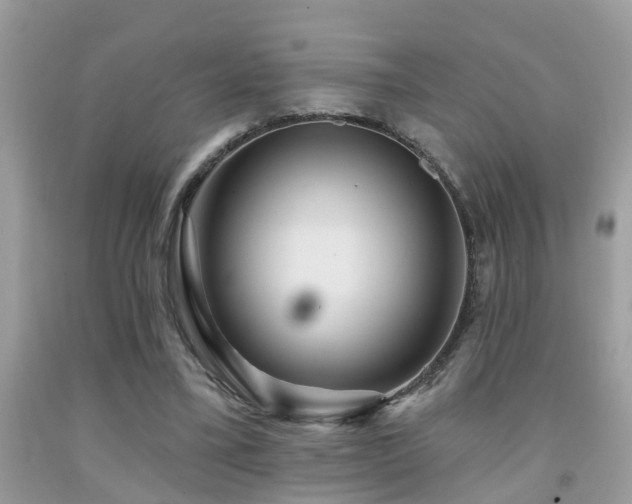 X0000092030395200709061619