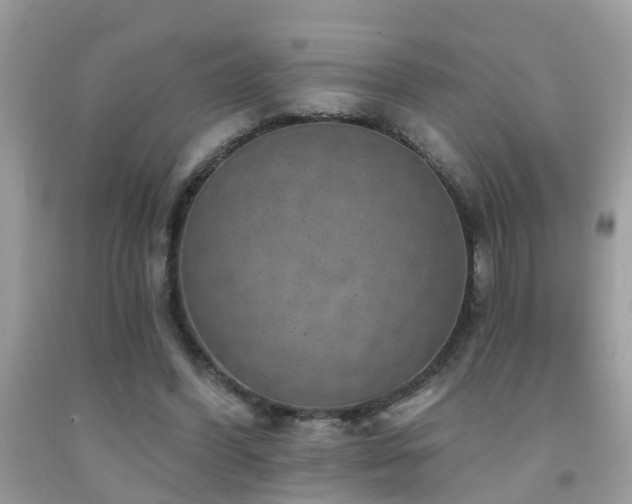 X0000092030396200709061619