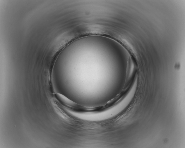 X0000092030397200709061619