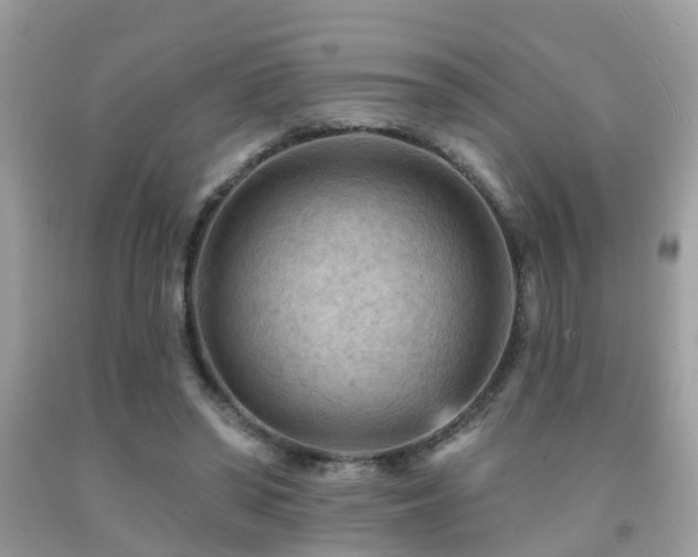 X0000092030398200709061619