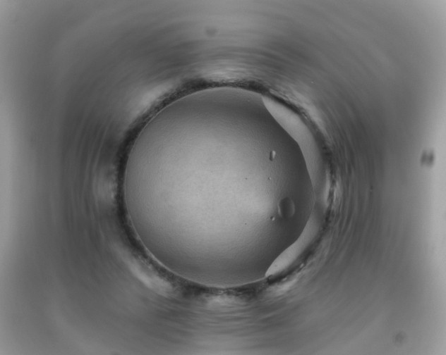 X0000092030400200709061619