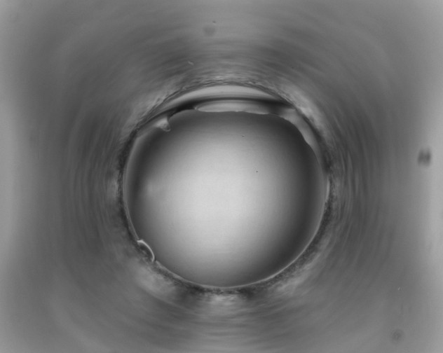 X0000092030401200709061619