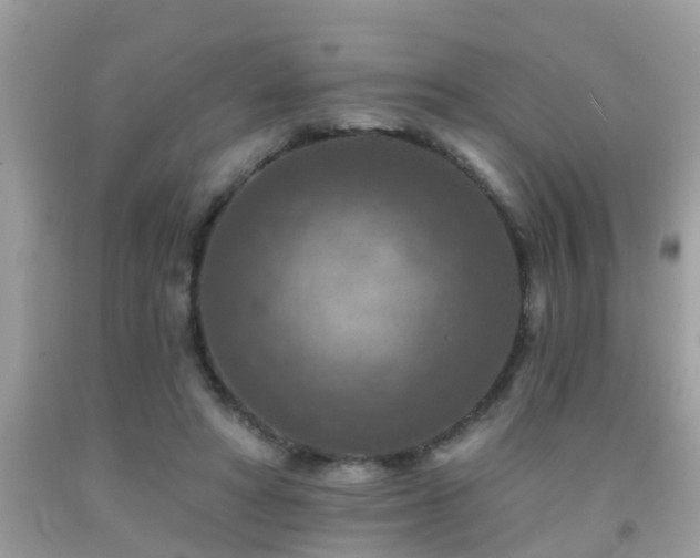 X0000092030402200709061619