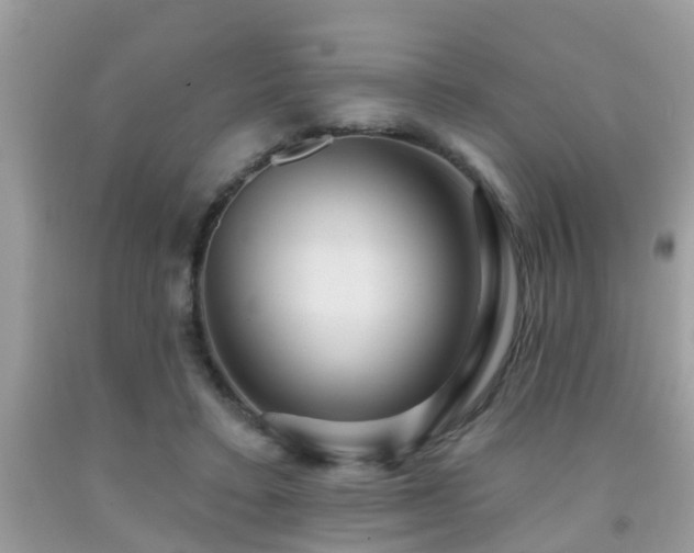 X0000092030403200709061619