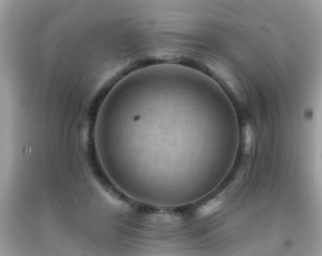 X0000092030404200709061619