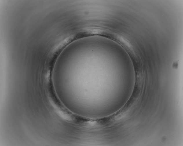 X0000092030406200709061619