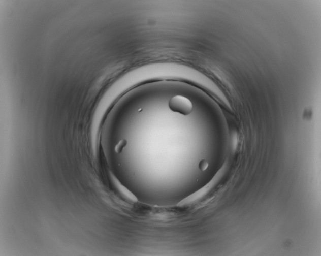 X0000092030407200709061619