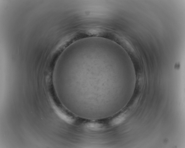 X0000092030408200709061619