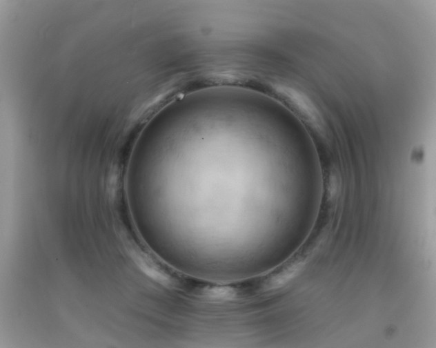 X0000092030409200709061619