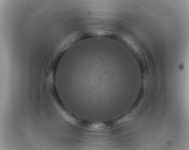 X0000092030410200709061618