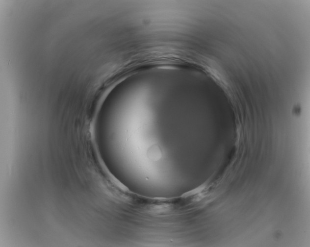 X0000092030411200709061618