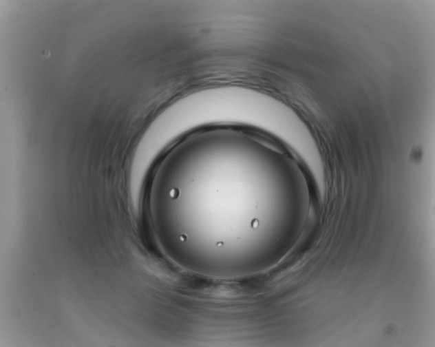 X0000092030412200709061618