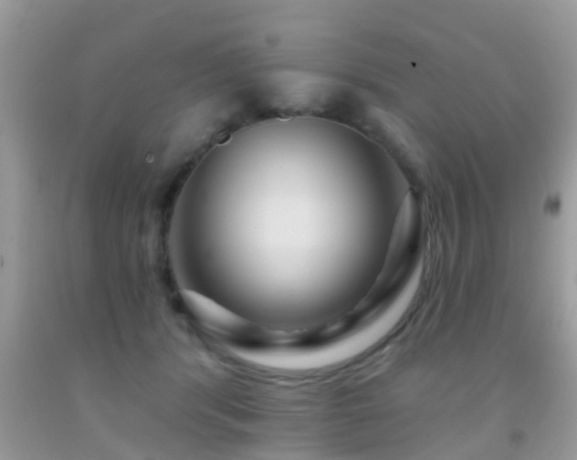 X0000092030416200709061618
