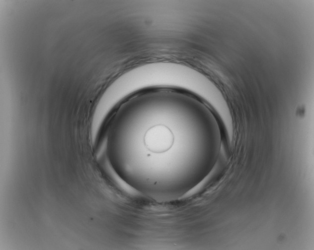 X0000092030417200709061618