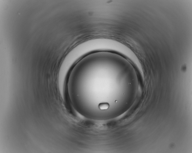 X0000092030421200709061618