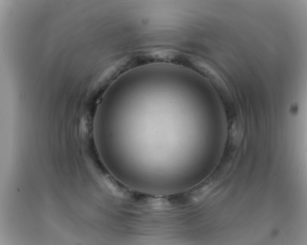 X0000092030424200709061618