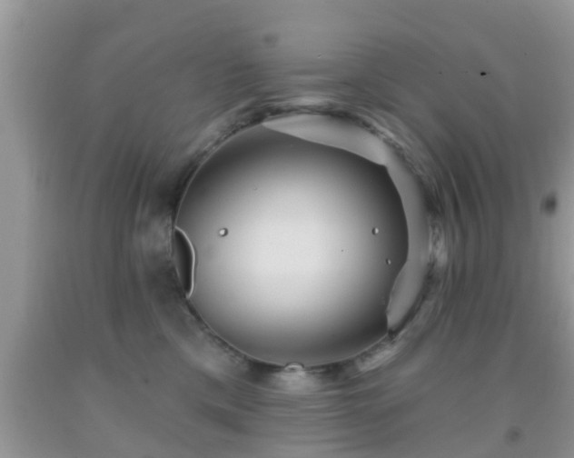 X0000092030425200709061618