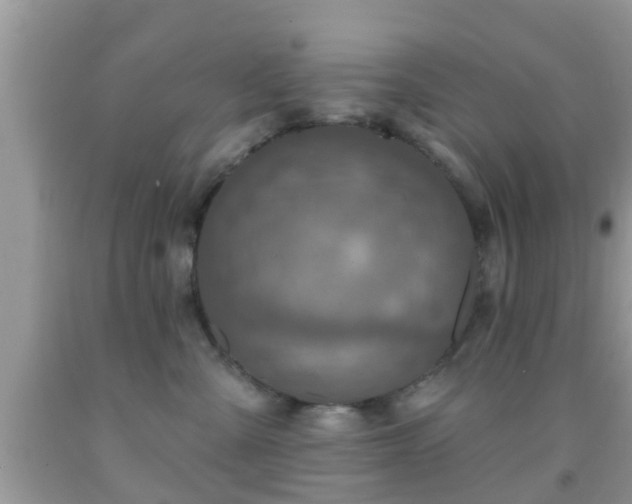 X0000092030427200709061618