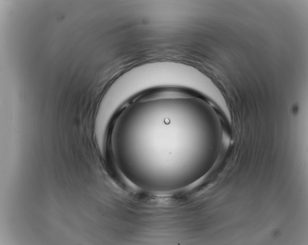 X0000092030428200709061618