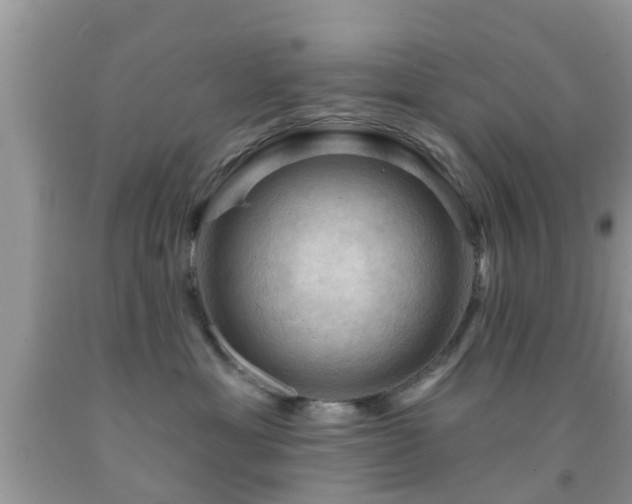 X0000092030429200709061618