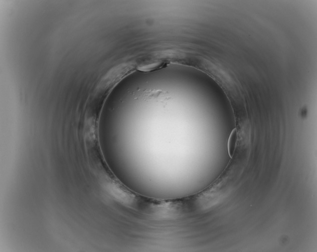 X0000092030430200709061618