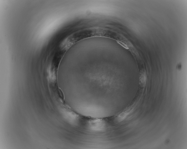 X0000092030431200709061618