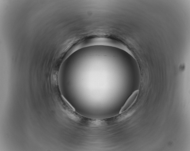 X0000092030432200709061618
