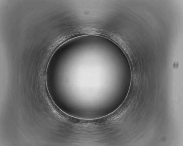 X0000092030433200709061618