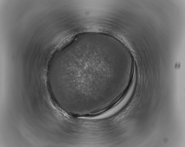 X0000092030434200709061618