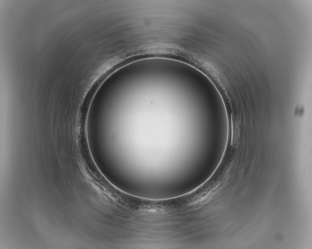 X0000092030435200709061618